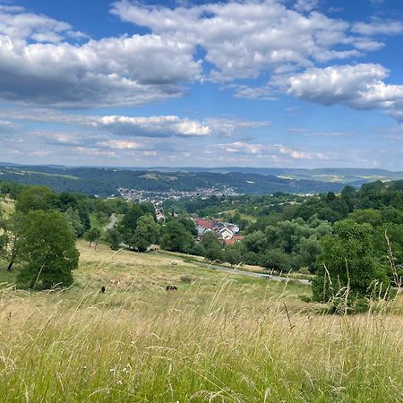Steffens Herrnmuehle Alzenau in Unterfranken Buitenkant foto